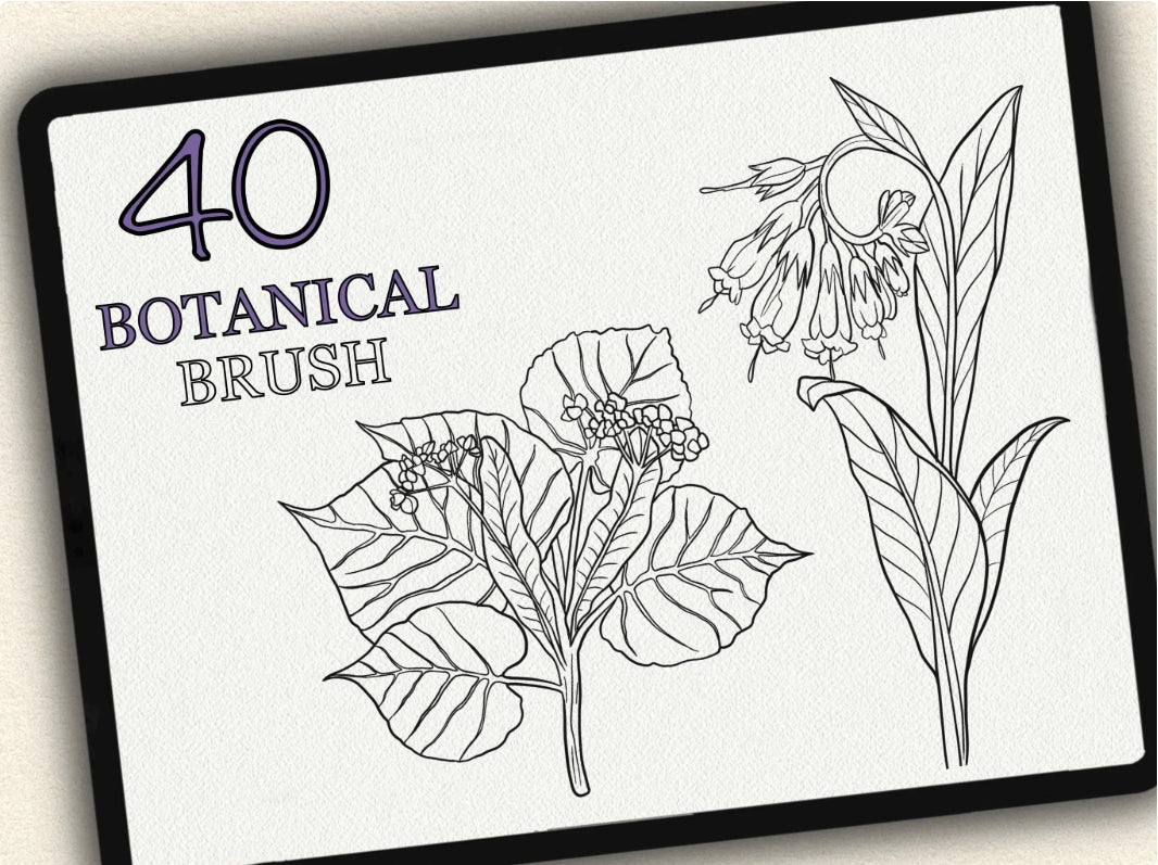 40 Botanical Tattoo Brushes – Stamp Set for Procreate, Photoshop & CSP | Collection 2022