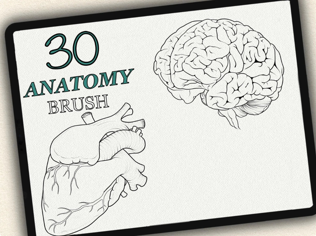 30 Anatomy Tattoo Brushes – Stamp Set for Procreate, Photoshop & CSP | Collection 2024