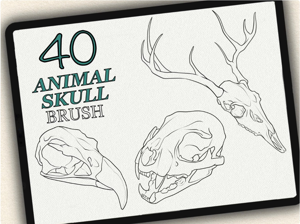 40 Animal Skull Tattoo Brushes – Stamp Set for Procreate, Photoshop & CSP | Collection 2024