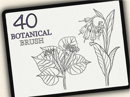 40 Botanical Tattoo Brushes – Stamp Set for Procreate, Photoshop & CSP | Collection 2022