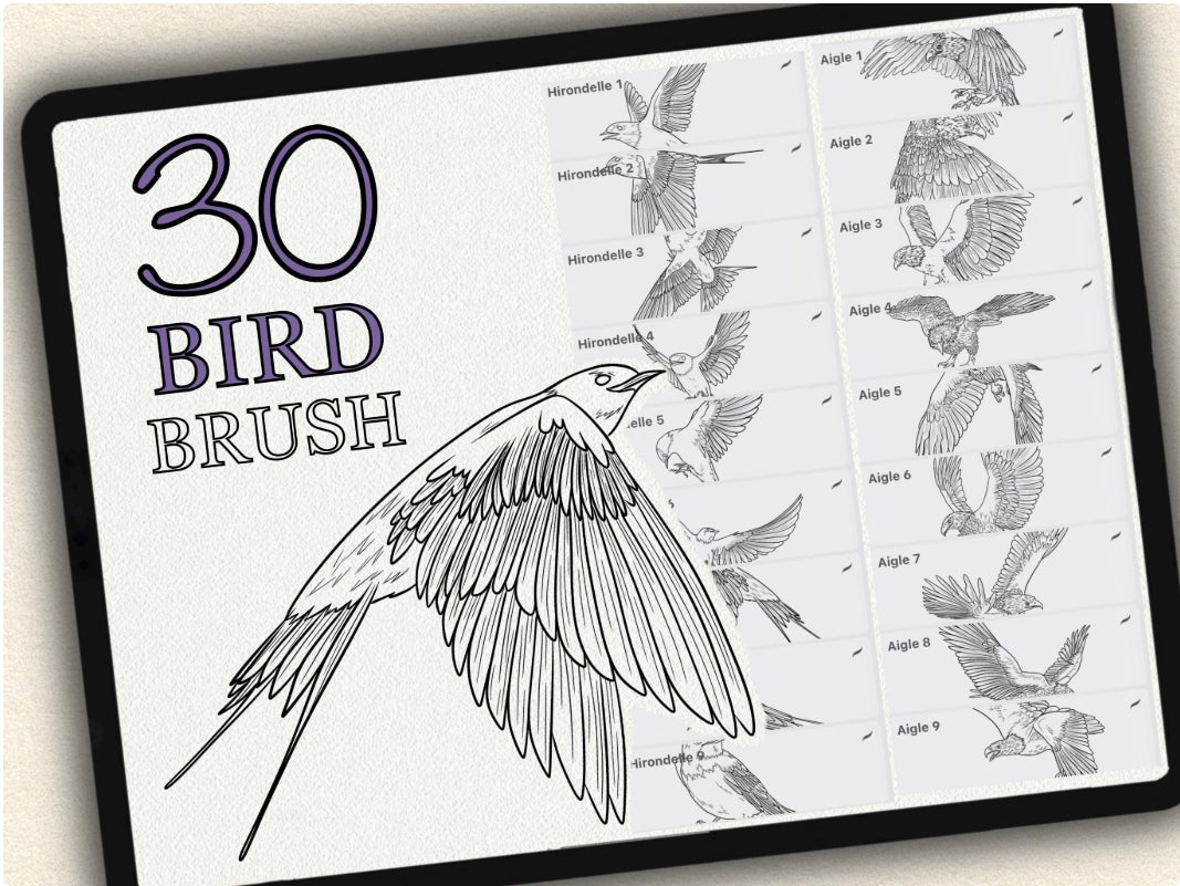 30 Bird Tattoo Brushes – Stamp Set for Procreate, Photoshop & CSP | Collection 2022