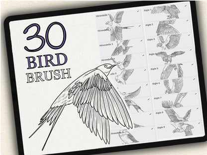 30 Bird Tattoo Brushes – Stamp Set for Procreate, Photoshop & CSP | Collection 2022