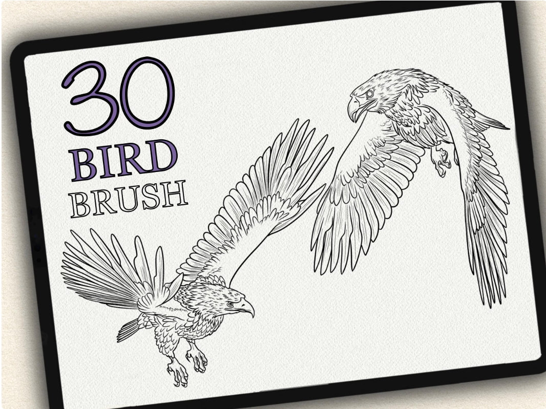 30 Bird Tattoo Brushes – Stamp Set for Procreate, Photoshop & CSP | Collection 2022
