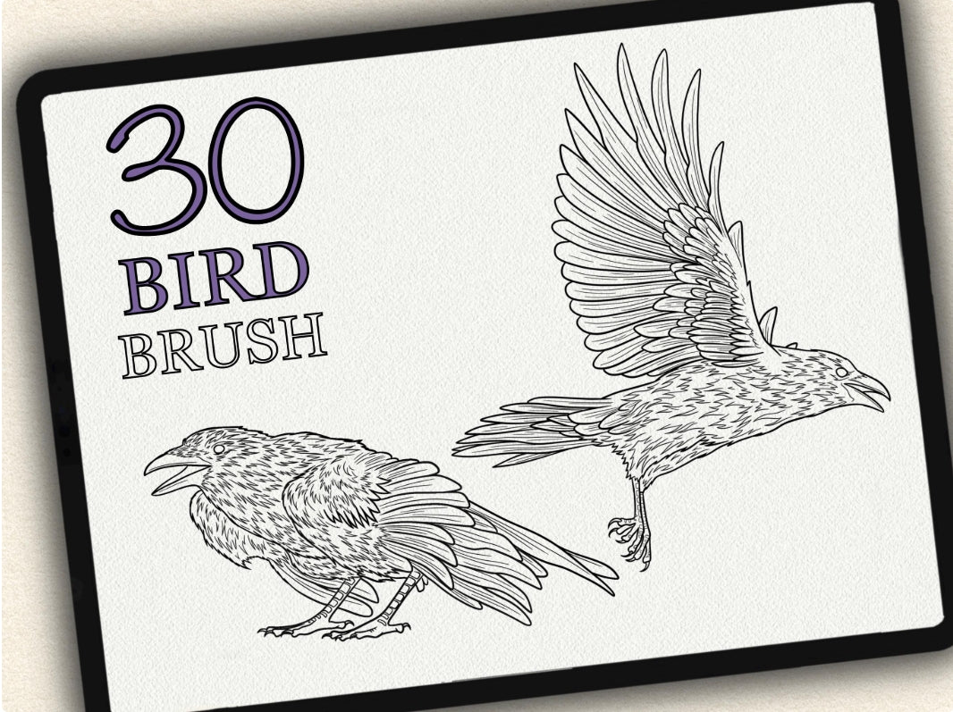 30 Bird Tattoo Brushes – Stamp Set for Procreate, Photoshop & CSP | Collection 2022