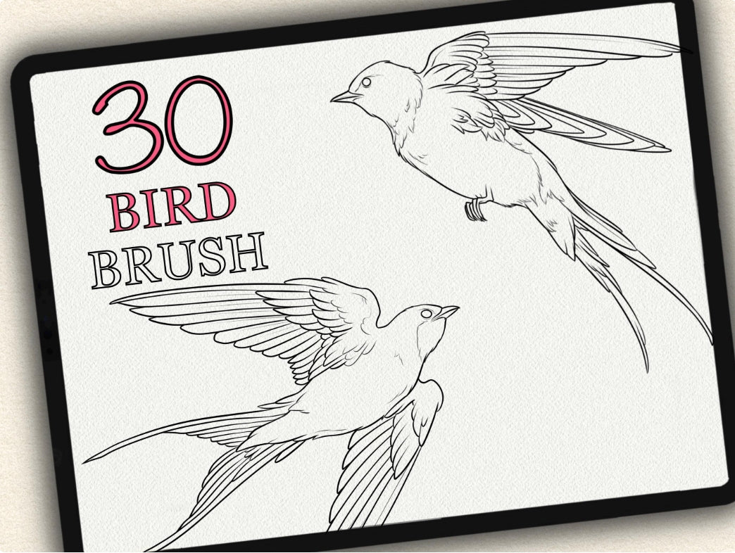 30 Bird Tattoo Brushes – Stamp Set for Procreate, Photoshop & CSP | Collection 2023