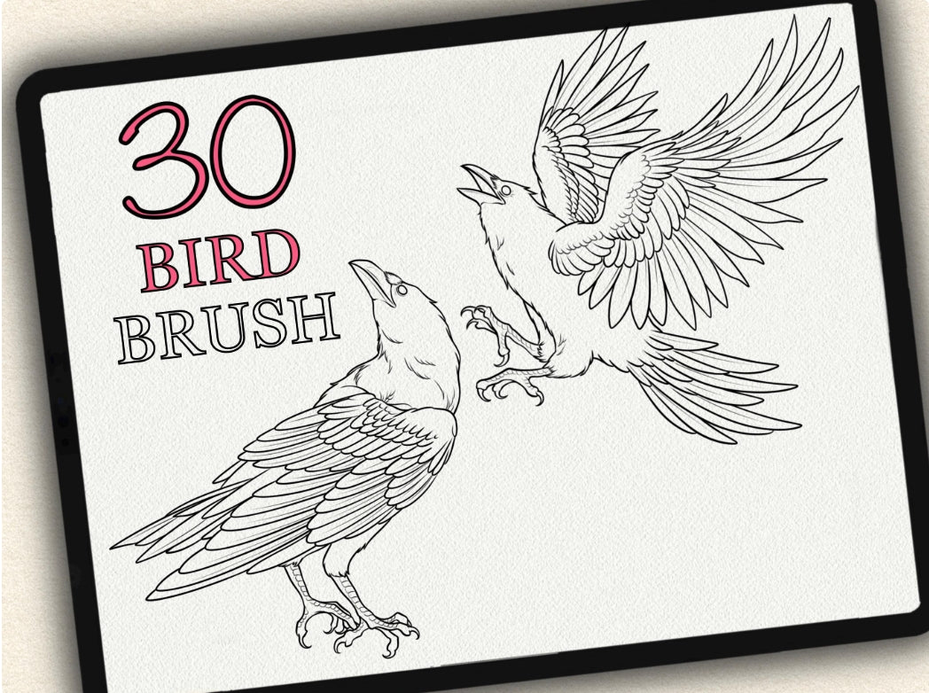 30 Bird Tattoo Brushes – Stamp Set for Procreate, Photoshop & CSP | Collection 2023
