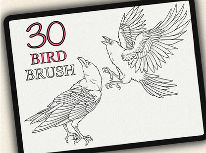 30 Bird Tattoo Brushes – Stamp Set for Procreate, Photoshop & CSP | Collection 2023