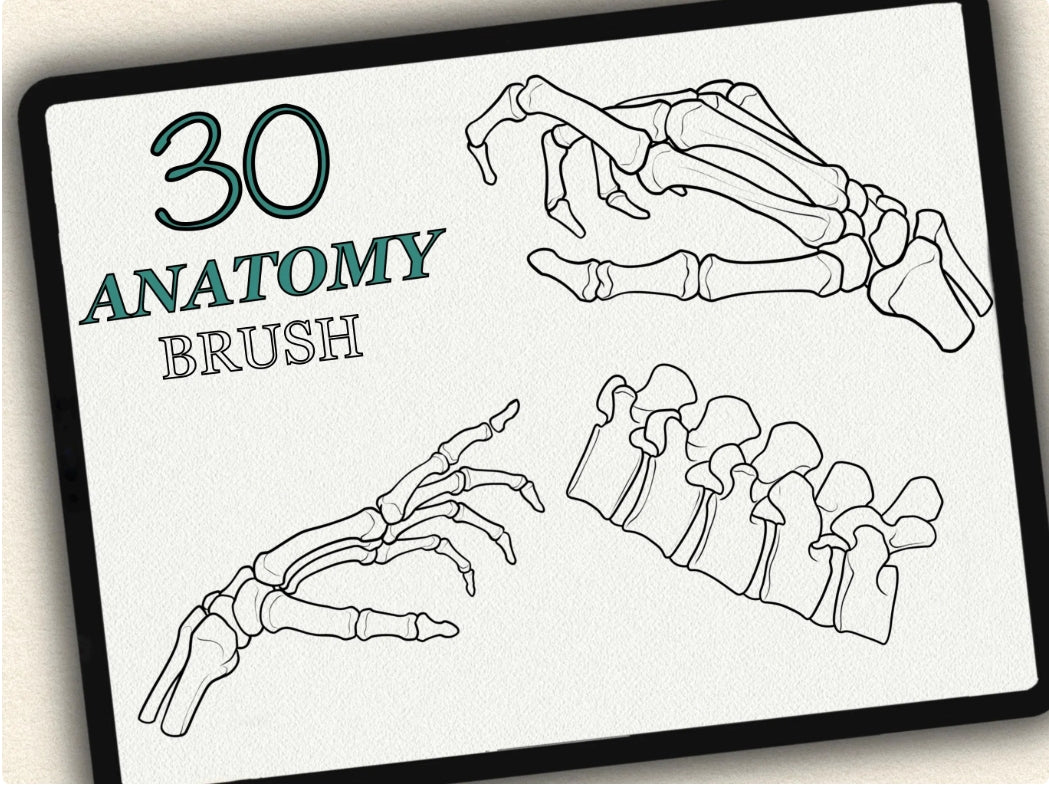 30 Anatomy Tattoo Brushes – Stamp Set for Procreate, Photoshop & CSP | Collection 2024