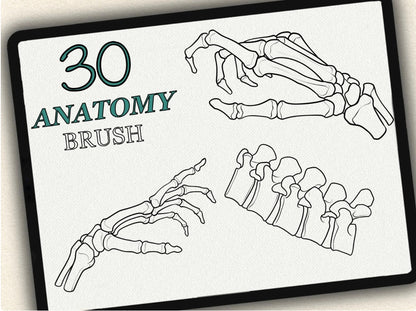 30 Anatomy Tattoo Brushes – Stamp Set for Procreate, Photoshop & CSP | Collection 2024