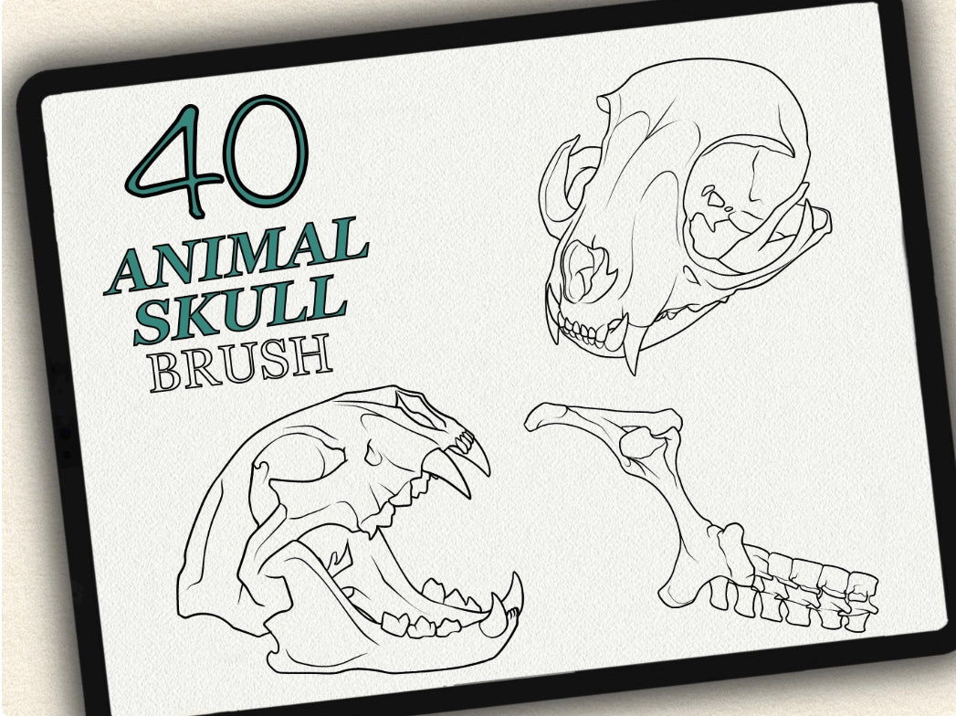 40 Animal Skull Tattoo Brushes – Stamp Set for Procreate, Photoshop & CSP | Collection 2024