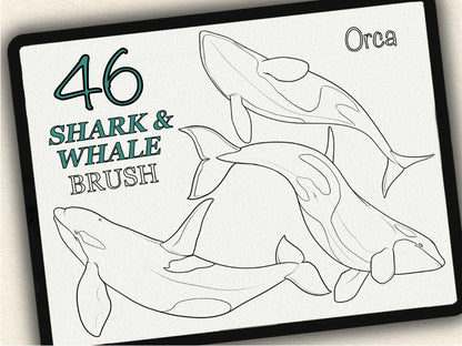 46 Shark & Whale  Tattoo Brushes – Stamp Set for Procreate, Photoshop & CSP | Collection 2024