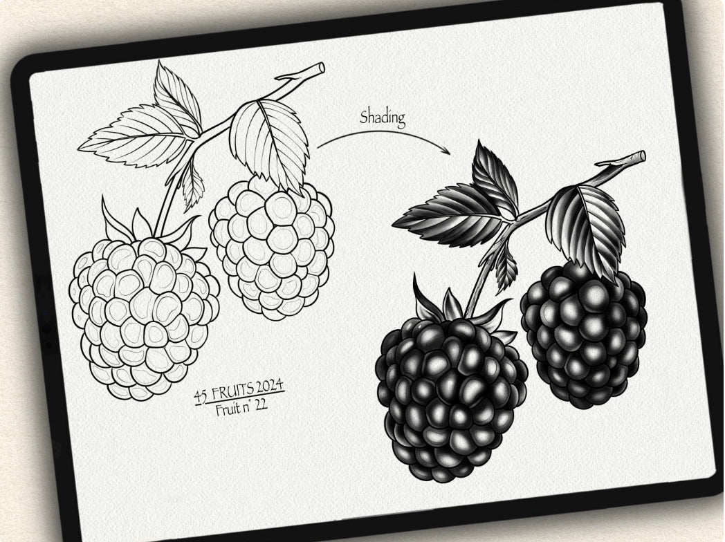 45 Fruits Tattoo Brushes – Stamp Set for Procreate, Photoshop & CSP | Collection 2024
