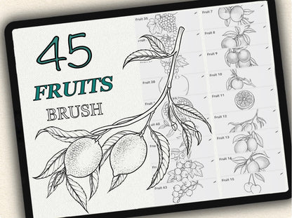 45 Fruits Tattoo Brushes – Stamp Set for Procreate, Photoshop & CSP | Collection 2024