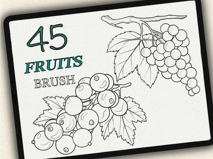45 Fruits Tattoo Brushes – Stamp Set for Procreate, Photoshop & CSP | Collection 2024