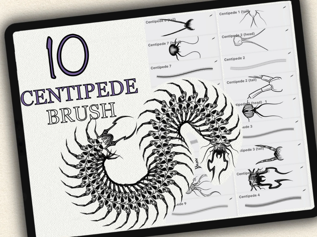 10 Centipede Drawing Brushes |2022 Collection