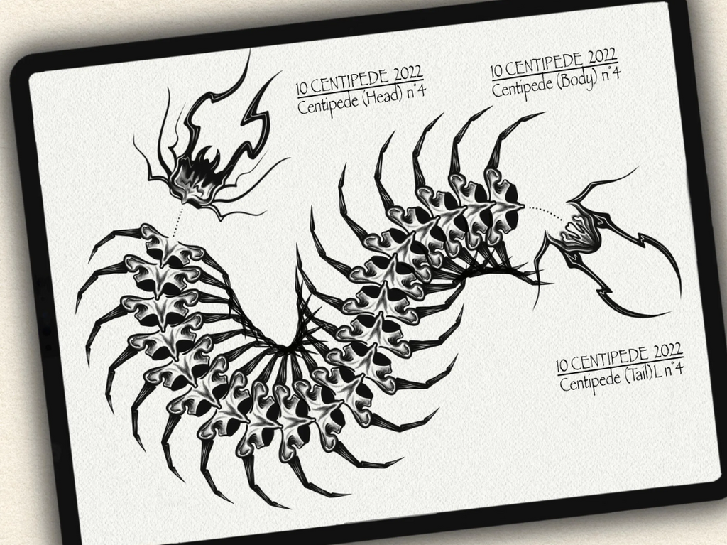 10 Centipede Drawing Brushes |2022 Collection