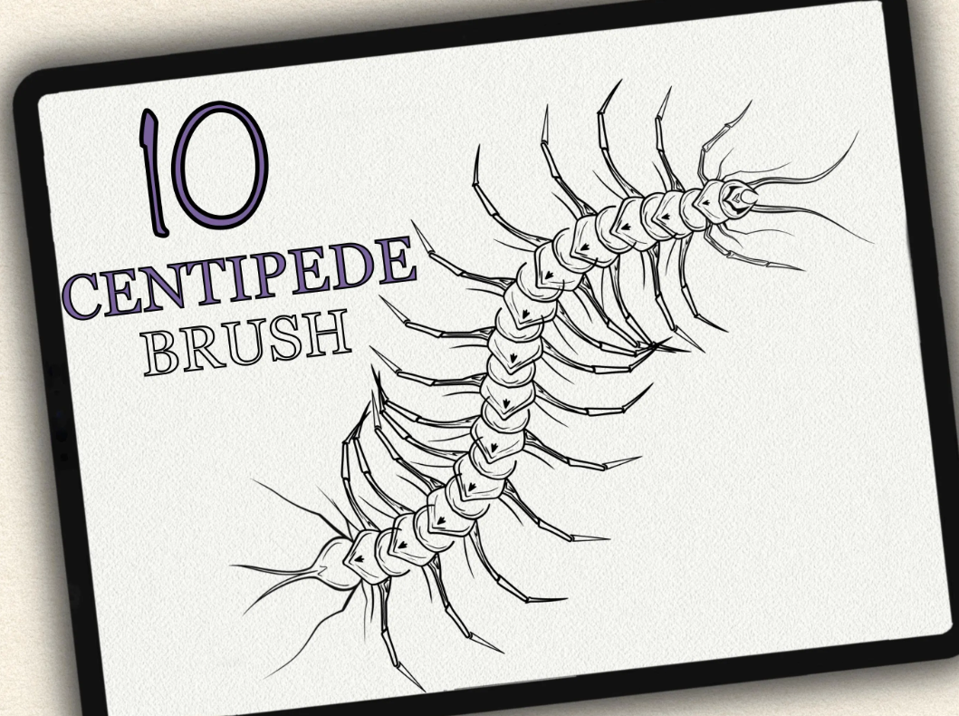 10 Centipede Tattoo Brushes for Procreate | Collection 2022