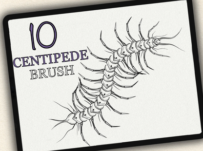 10 Centipede Tattoo Brushes for Procreate | Collection 2022