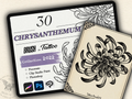 30 Chrysanthemum Tattoo Stamps |2022 Collection