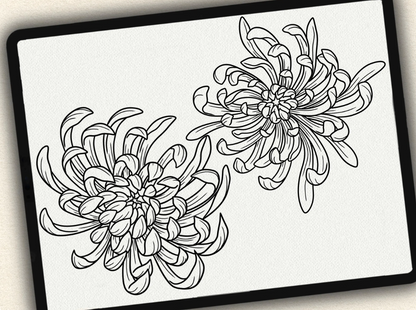 30 Chrysanthemum Tattoo Brushes – Stamp Set for Procreate, Photoshop & CSP | Collection 2022