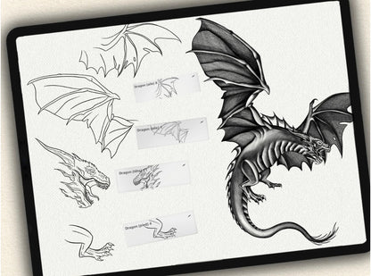 72 Dragon Tattoo Brushes for Procreate | Collection 2022