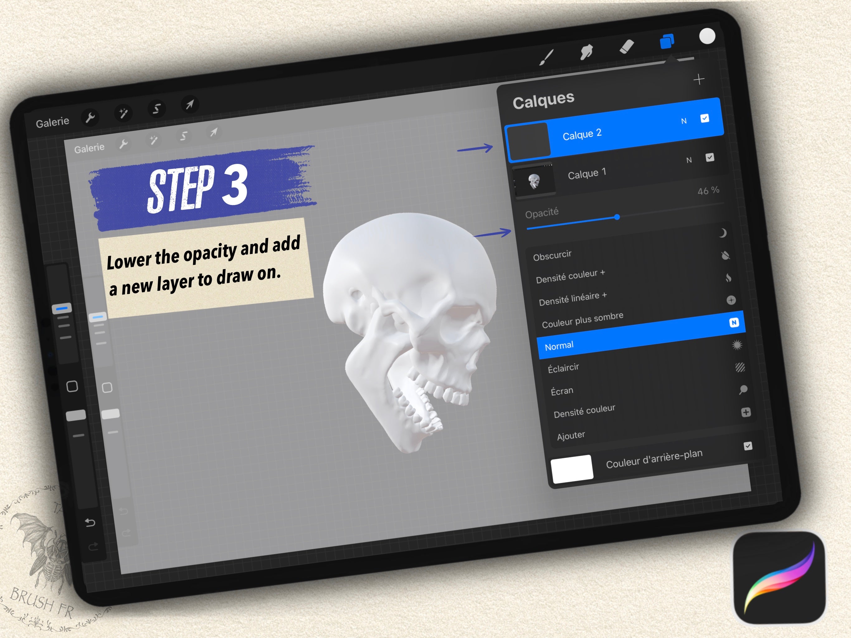 6 SKULL 3D MODELS