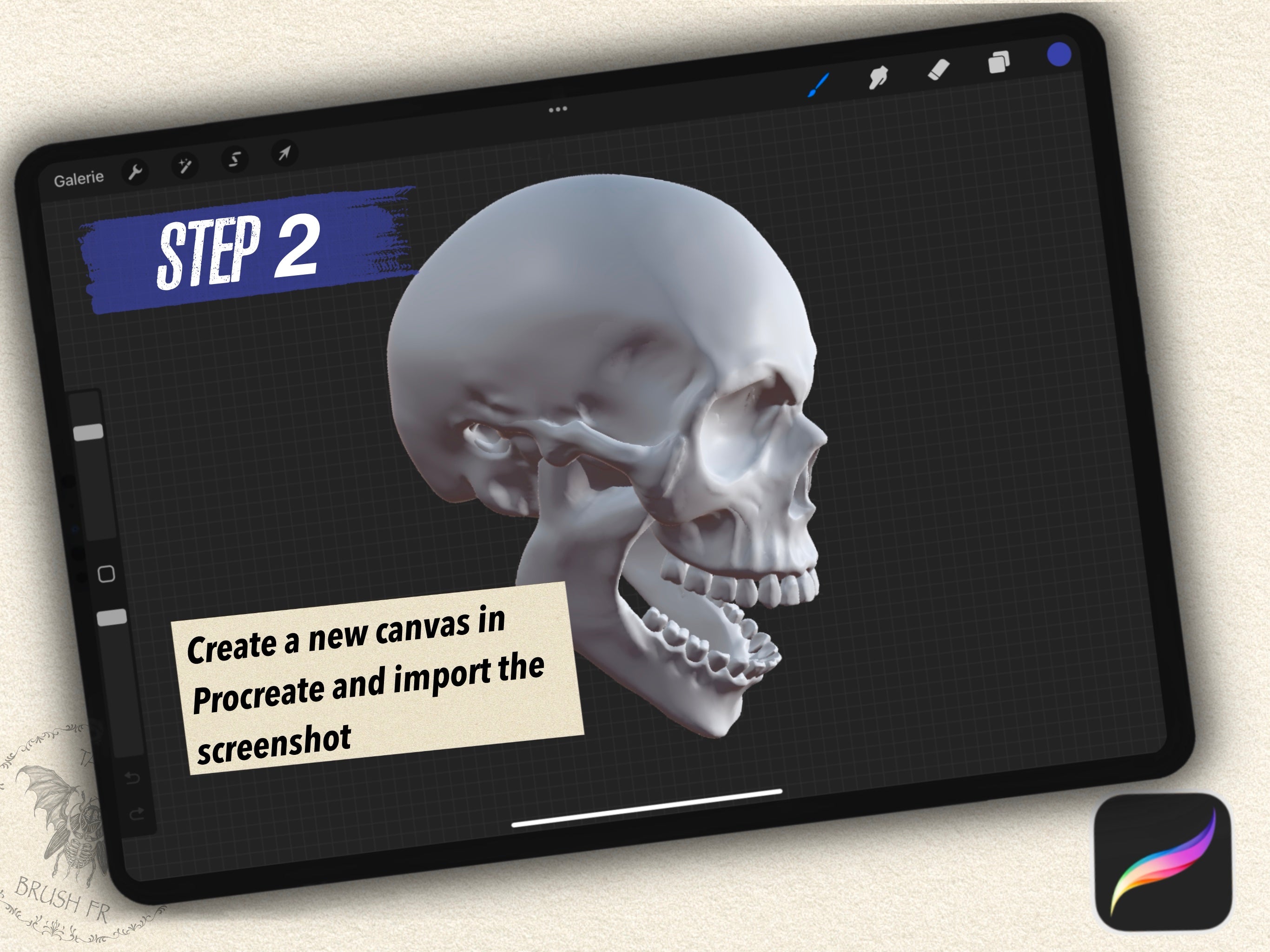 6 SKULL 3D MODELS