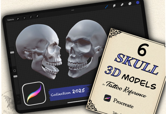 6 SKULL 3D MODELS | Procreate | Collection 2025
