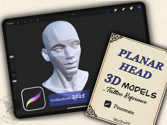 PLANAR HEAD 3D MODEL for Procreate – Tattoo & Drawing Reference  | Collection 2025