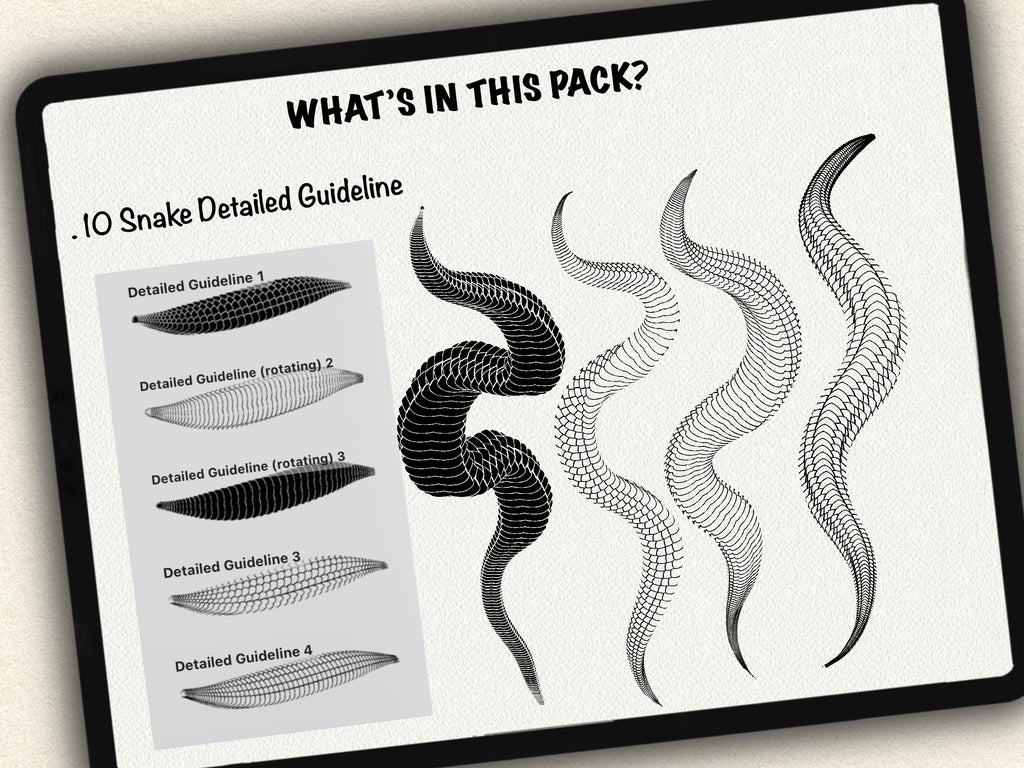 62 Snake Drawing Brushes |2025 Collection