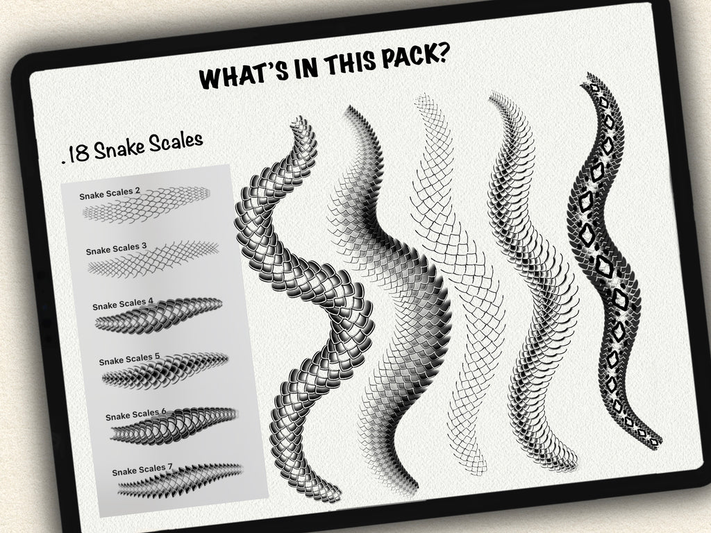 62 Snake Drawing Brushes |2025 Collection