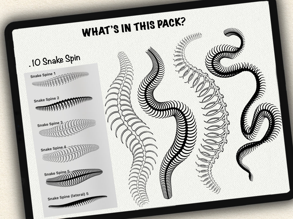 62 Snake Drawing Brushes |2025 Collection