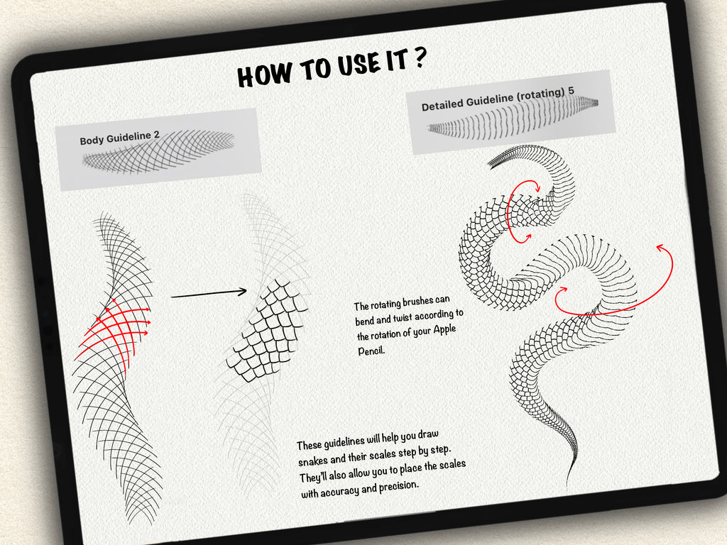 62 Snake Drawing Brushes |2025 Collection