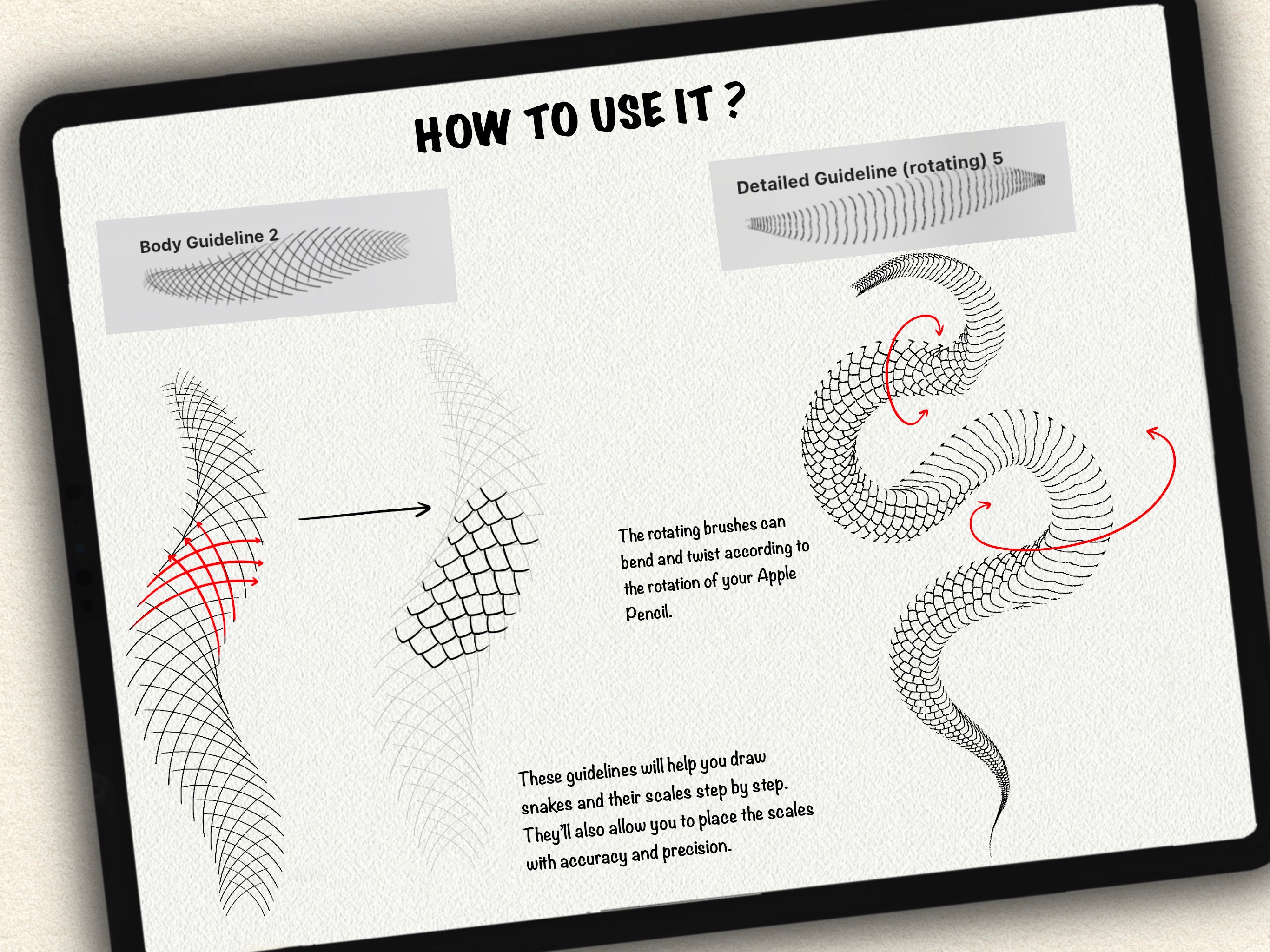 62 Snake Drawing Brushes |2025 Collection