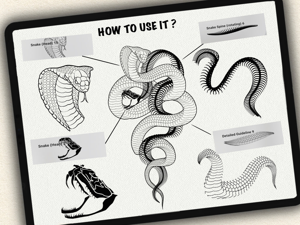 62 Snake Drawing Brushes |2025 Collection
