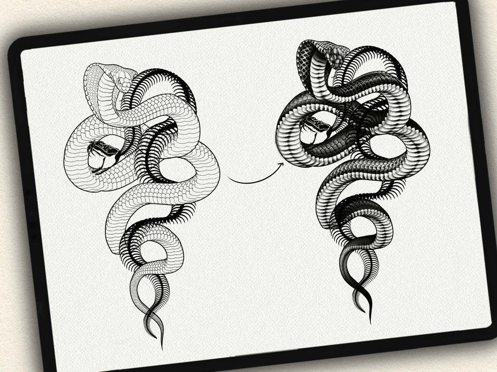 62 Snake Drawing Brushes |2025 Collection