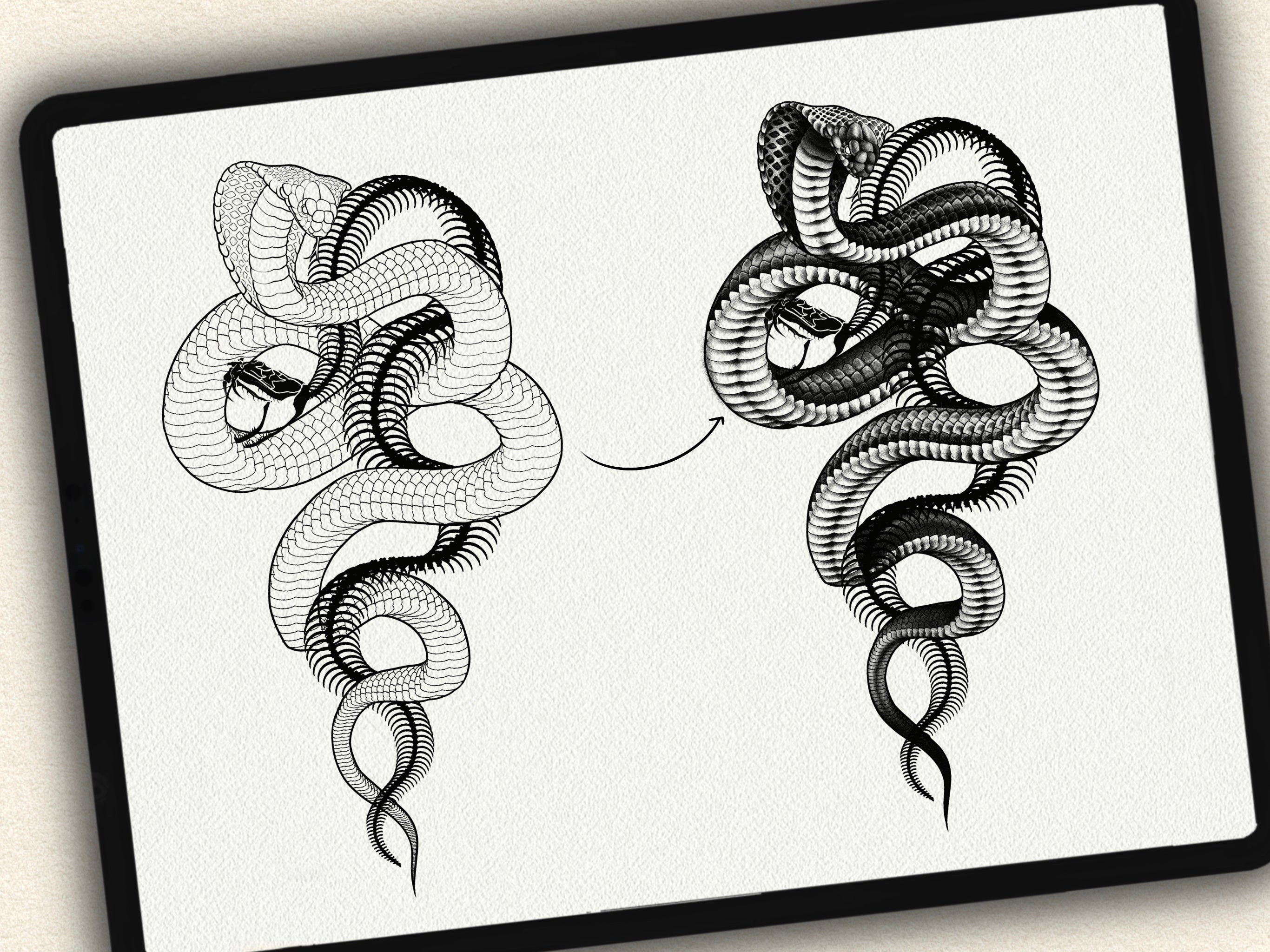 62 Snake Drawing Brushes |2025 Collection