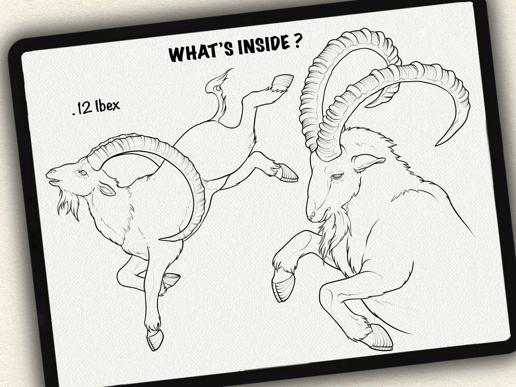 30 Ibex & Ram Tattoo Stamps |2025 Collection