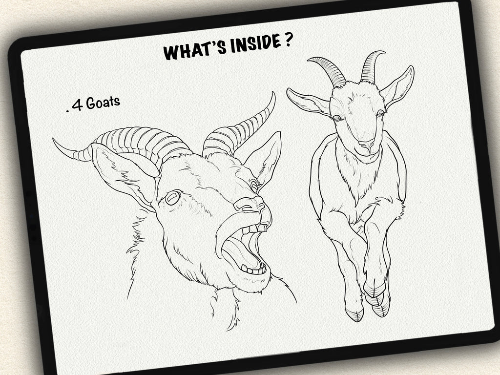 30 Ibex & Ram Tattoo Stamps |2025 Collection
