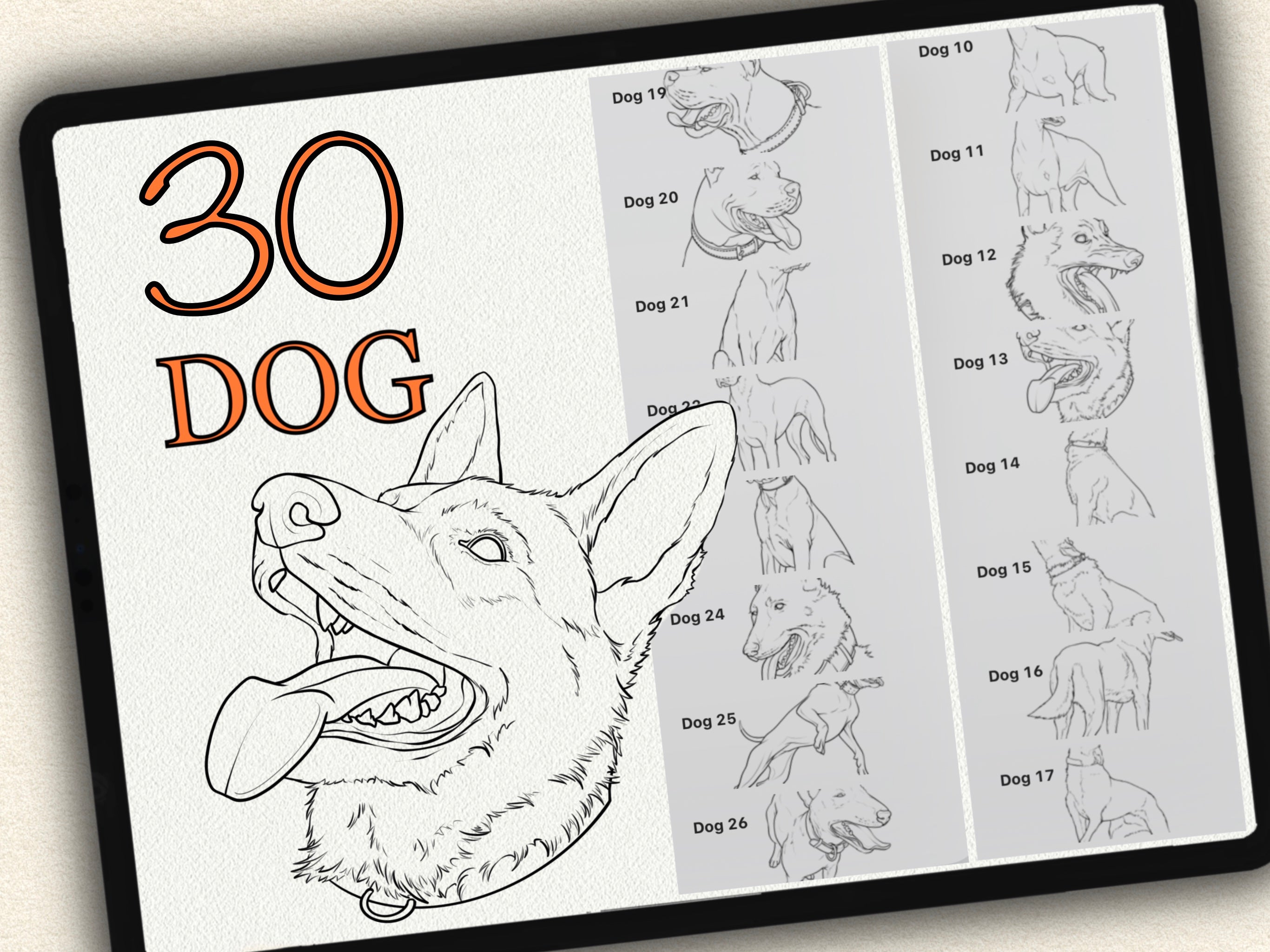 30 Dog Tattoo Stamps |2026 Collection