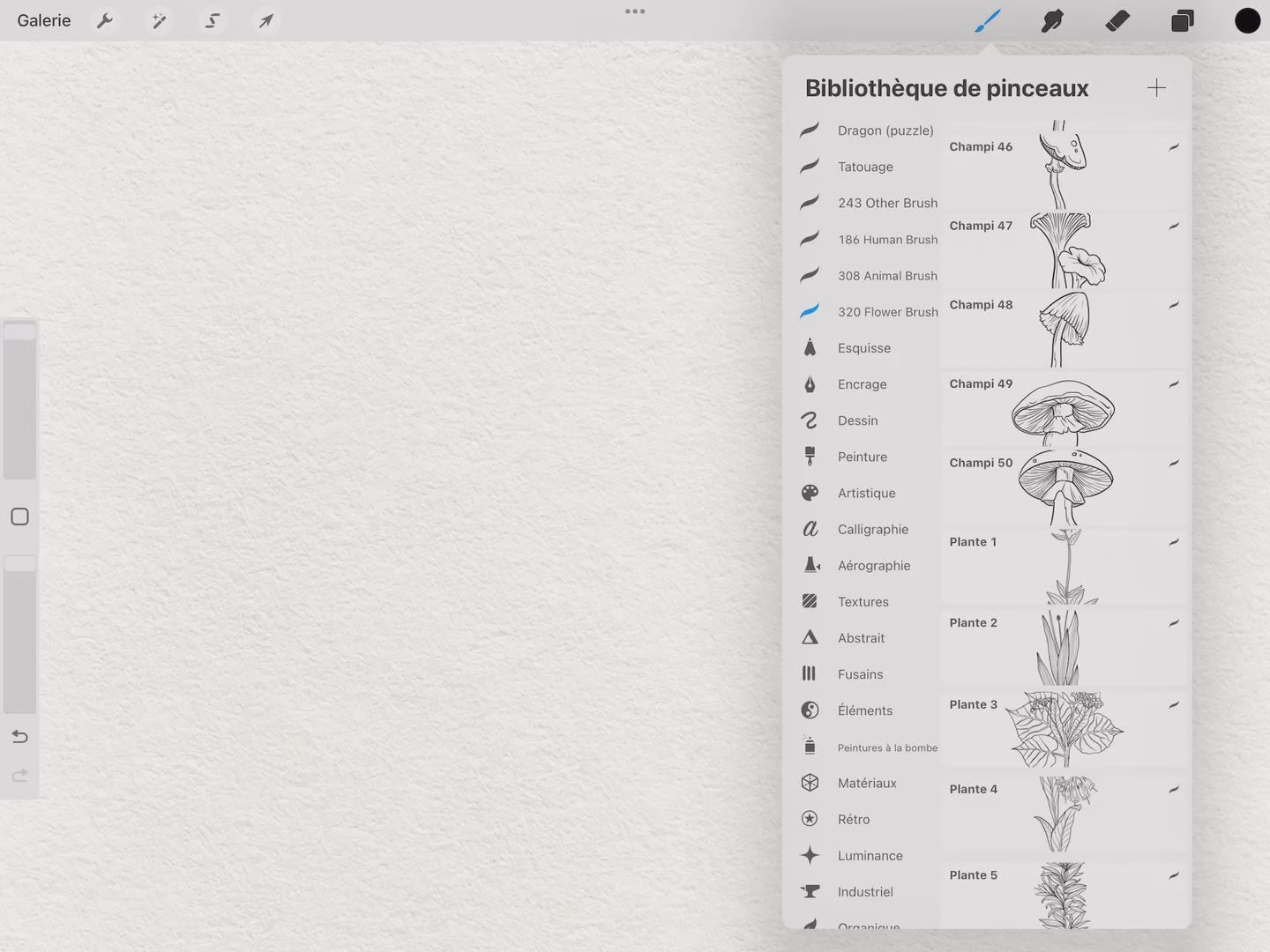 40 Botanical Tattoo Stamps |2022 Collection