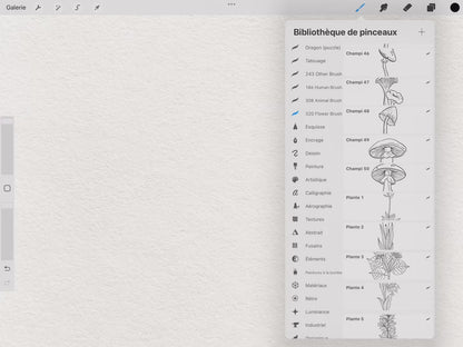 40 Botanical Tattoo Brushes – Stamp Set for Procreate, Photoshop & CSP | Collection 2022