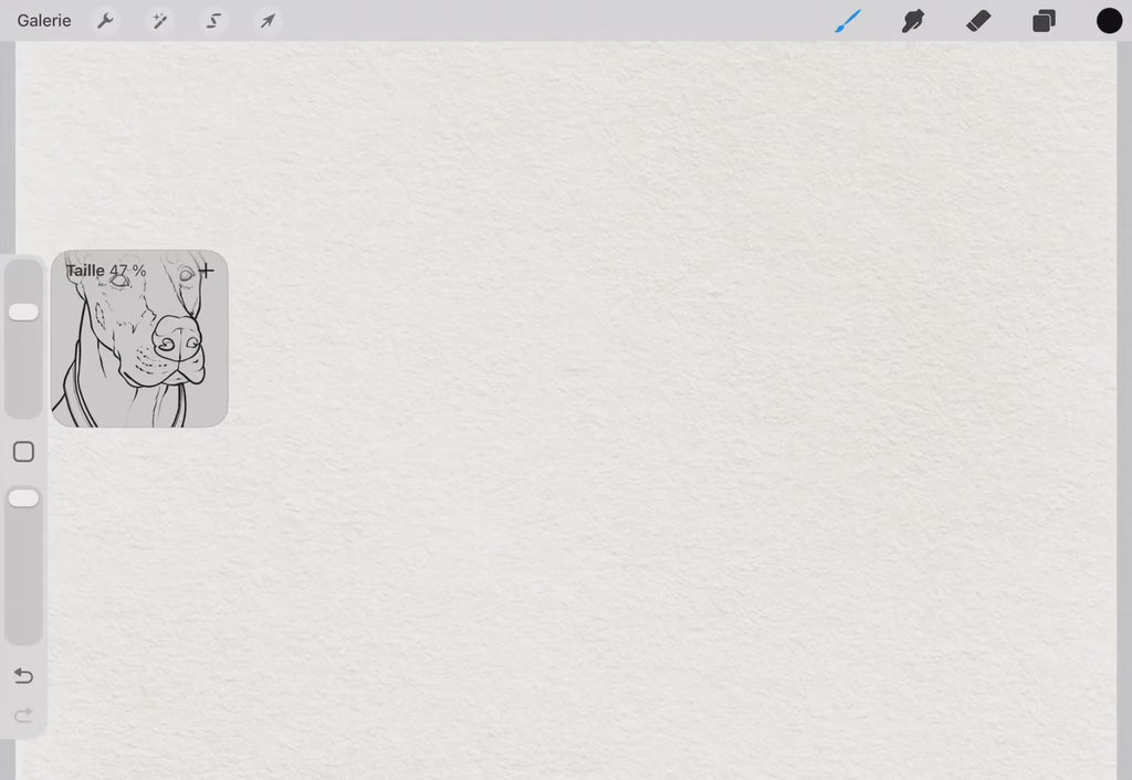 30 Dog Tattoo Stamps |2026 Collection