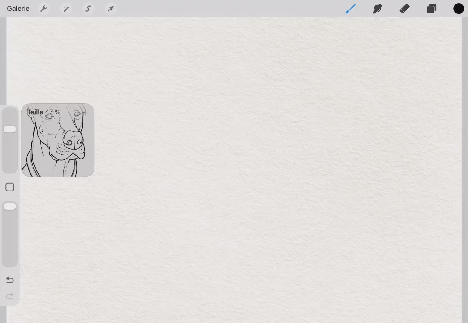 30 Dog Tattoo Stamps |2026 Collection