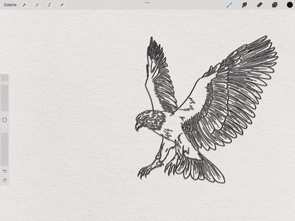 30 Bird Tattoo Brushes – Stamp Set for Procreate, Photoshop & CSP | Collection 2022